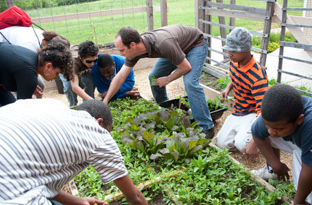 Man working with kids in the garden