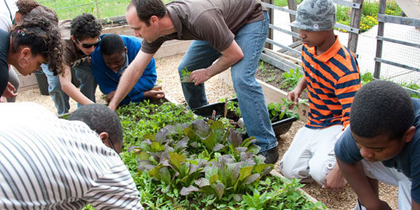 Gardeners at Work